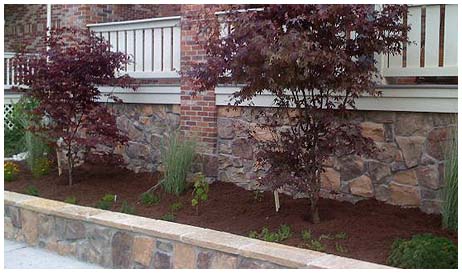 landscaping photos in denver