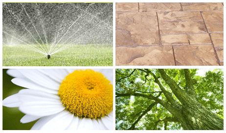 lawn care and landscaping in denver co